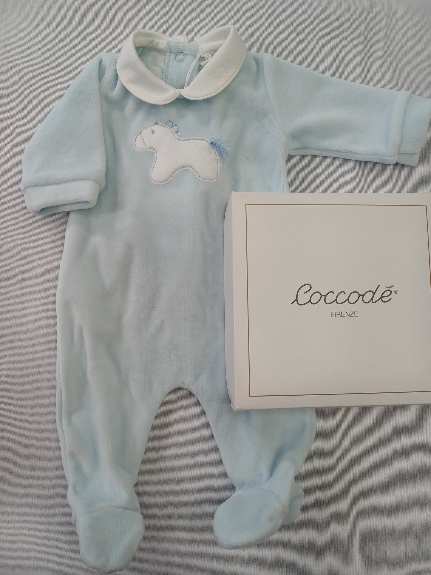 Coccode' C62000 ric A cielo