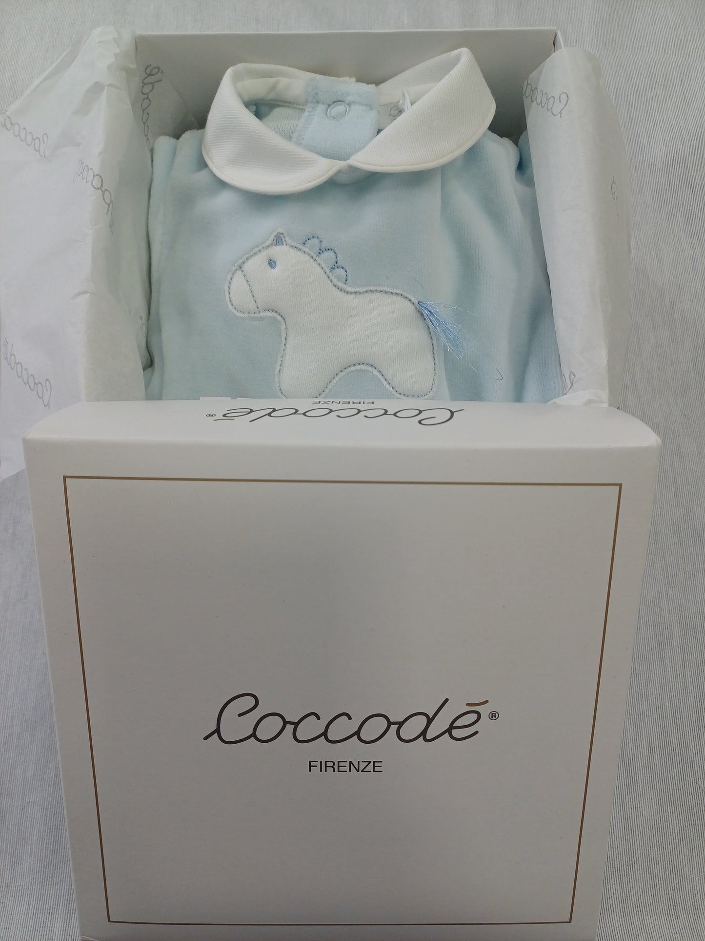 Coccode' C62000 ric A cielo