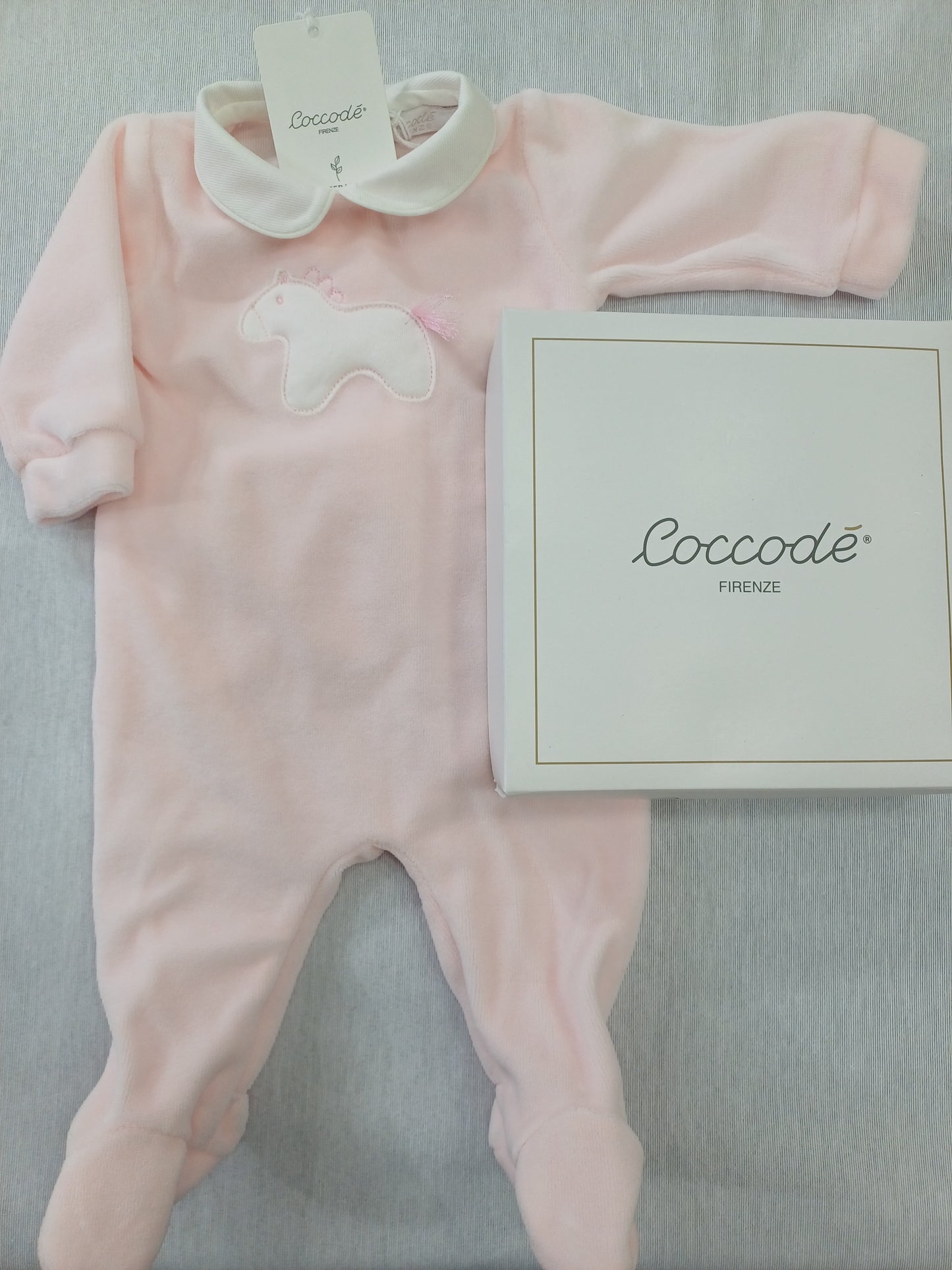 Coccode' C62000 ric A rosa