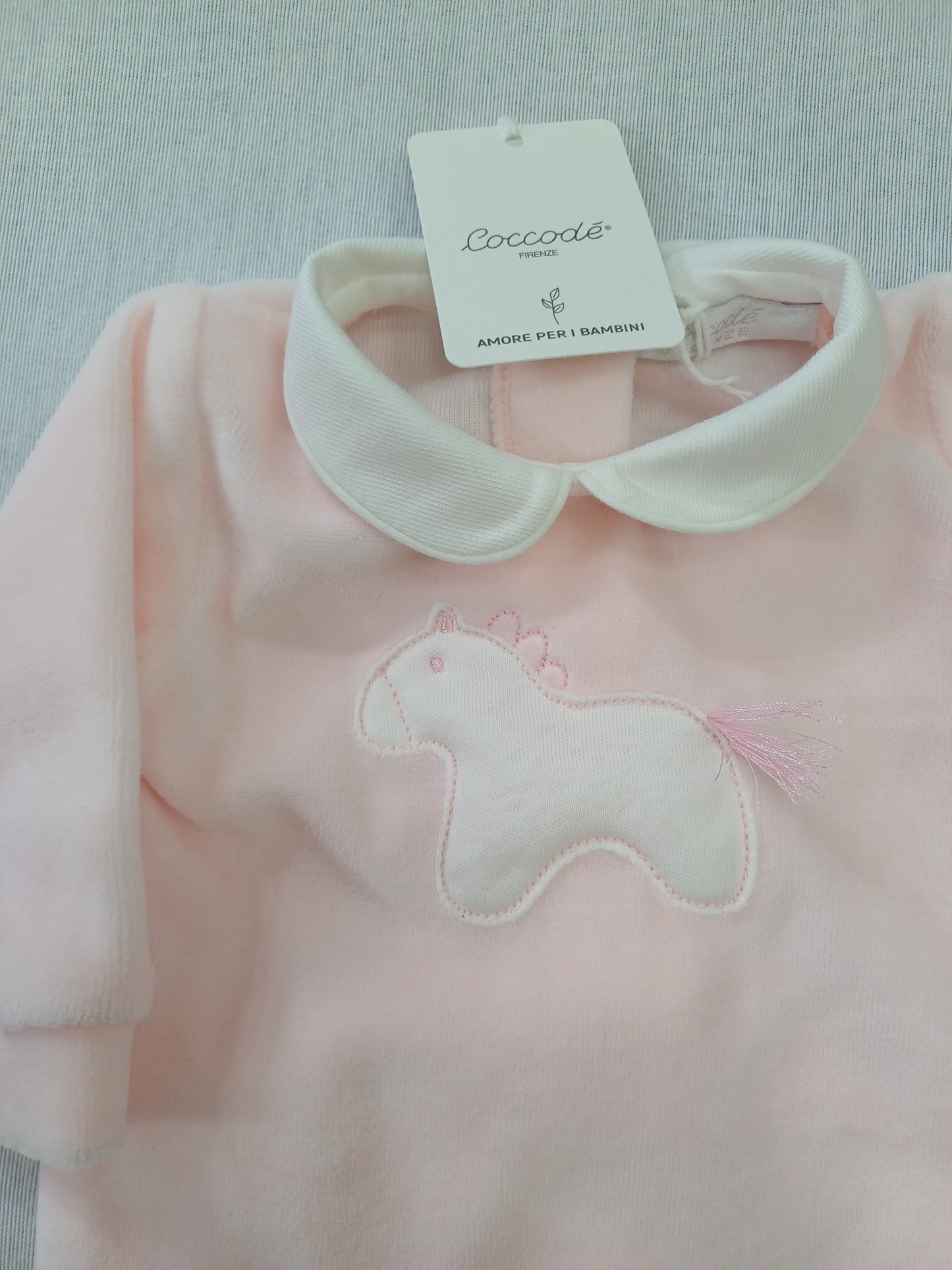 Coccode' C62000 ric A rosa