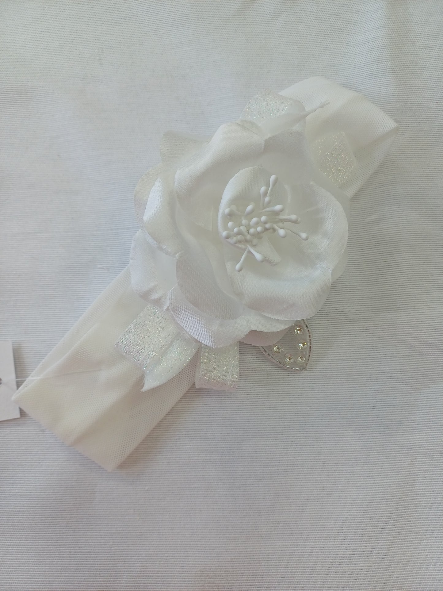 LPE fascia Rosmary
