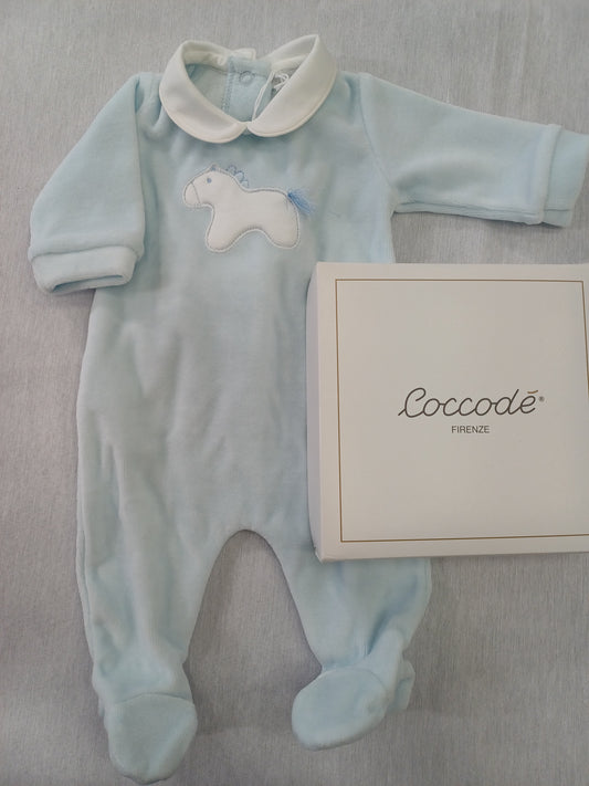Coccode' C62000 ric A cielo
