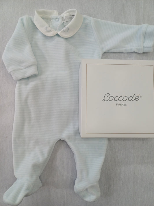 Coccode' C62000 ric B bia/cielo