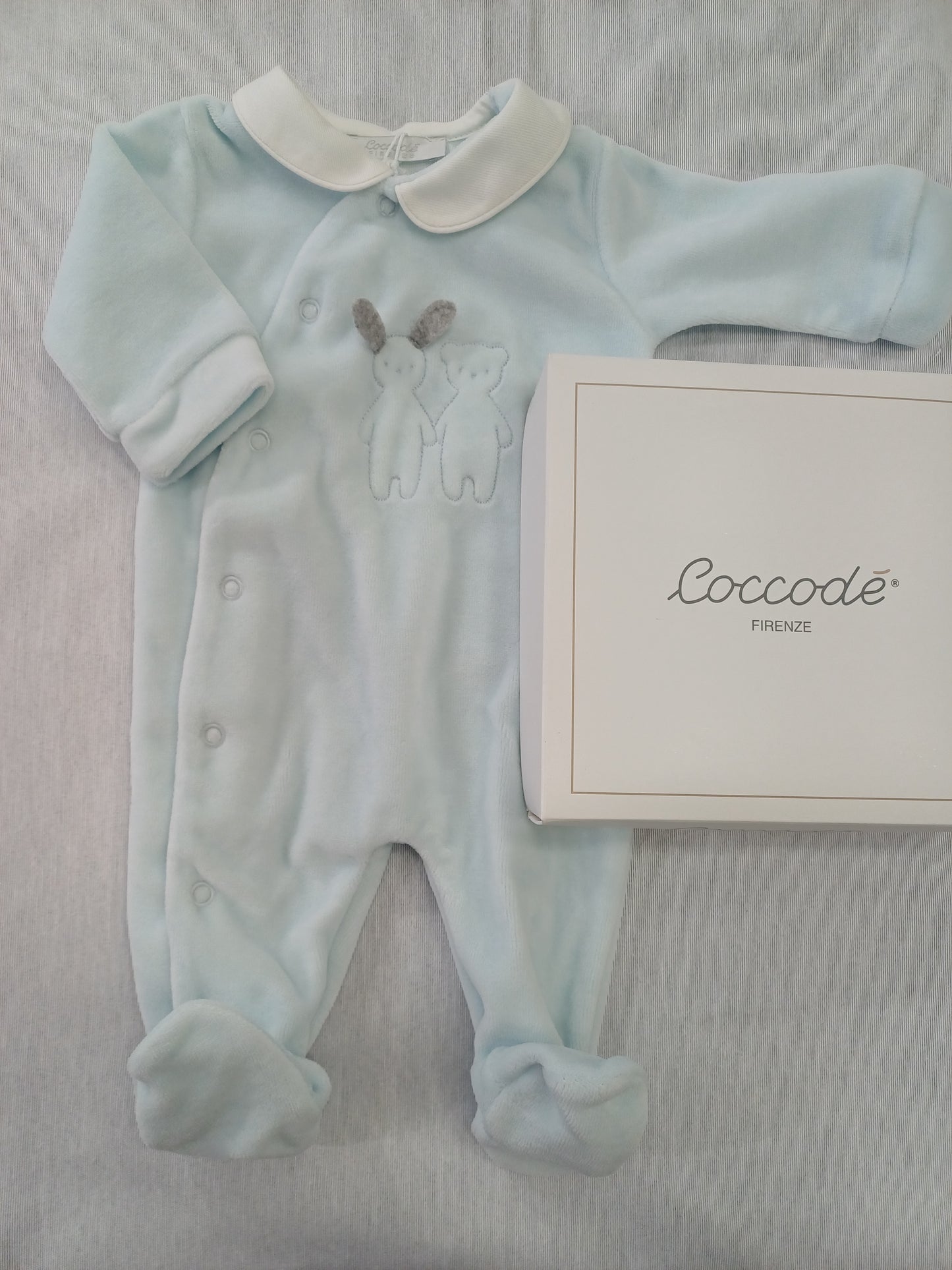 Coccode' C62000 ric C cielo