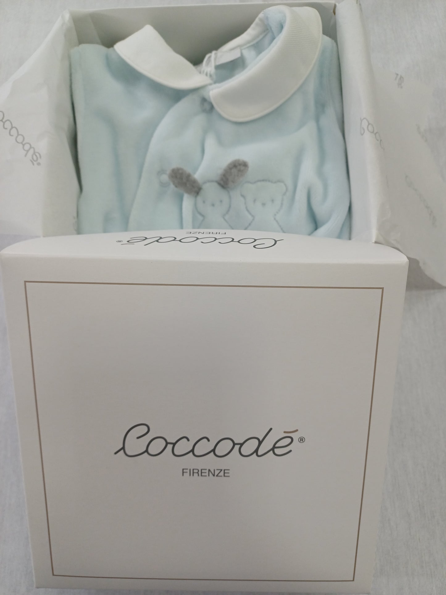 Coccode' C62000 ric C cielo
