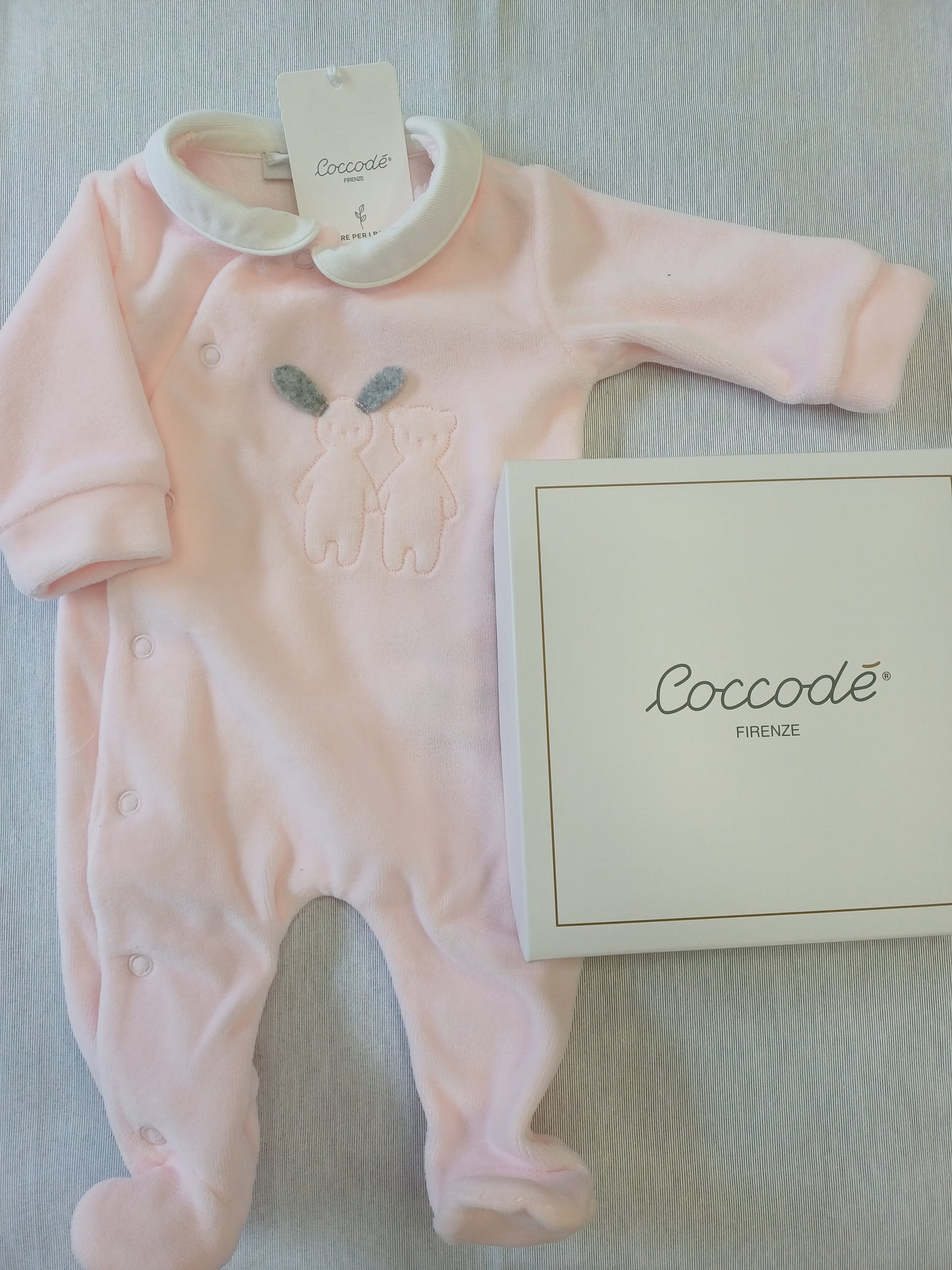 Coccode' C 62000 ric C rosa