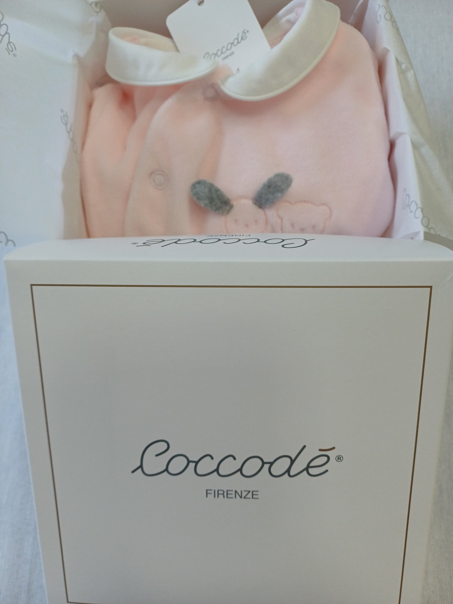 Coccode' C 62000 ric C rosa
