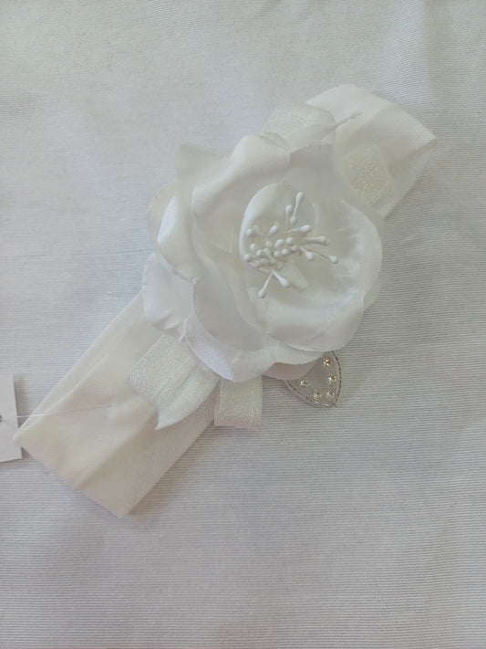 LPE fascia Rosmary