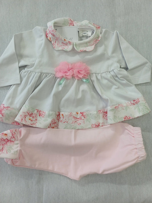 Completo I Delfi